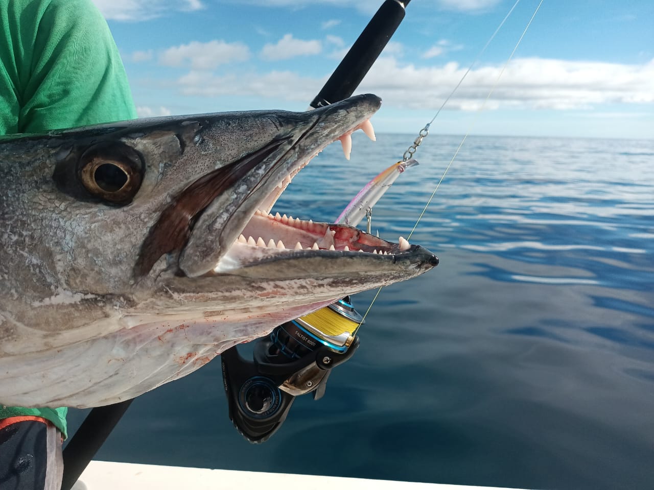 Pêche au gros
